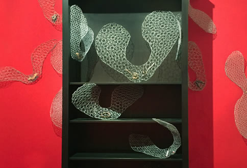 seed installation jane mcadam freud