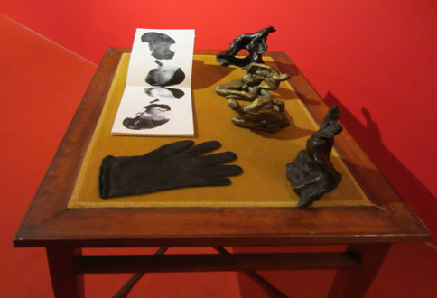 installation jane mcadam freud